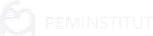 FEM Institut